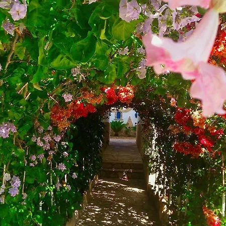 Angelika 2* アリンダ