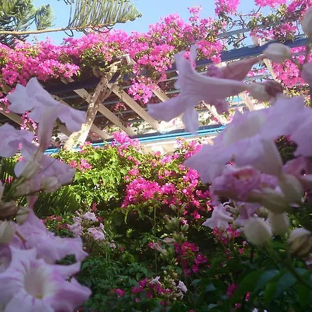 アパートホテル Angelika アリンダ