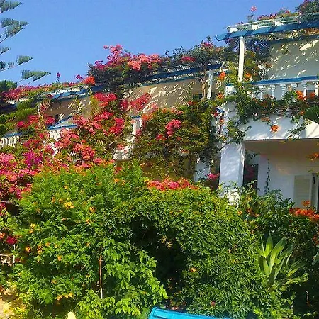 Angelika アリンダ