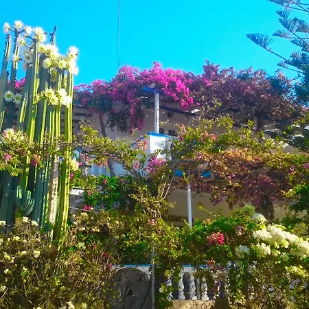 Angelika アパートホテル アリンダ