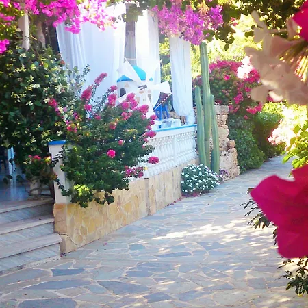 Angelika アリンダ