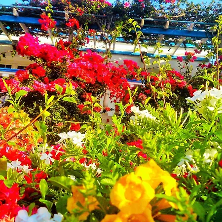 Angelika アパートホテル