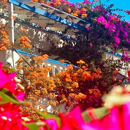 アパートホテル Angelika アリンダ