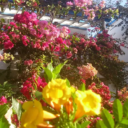 アパートホテル Angelika 2*