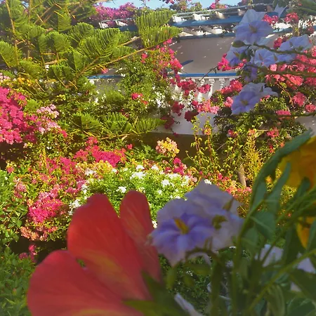 アパートホテル Angelika 2*