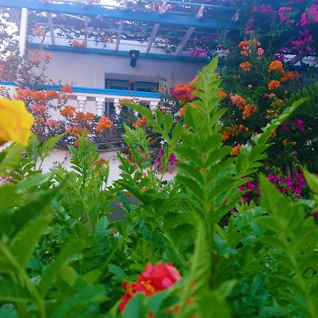 Angelika 2* アリンダ