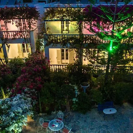 Angelika アリンダ