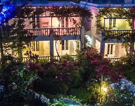 Angelika アリンダ