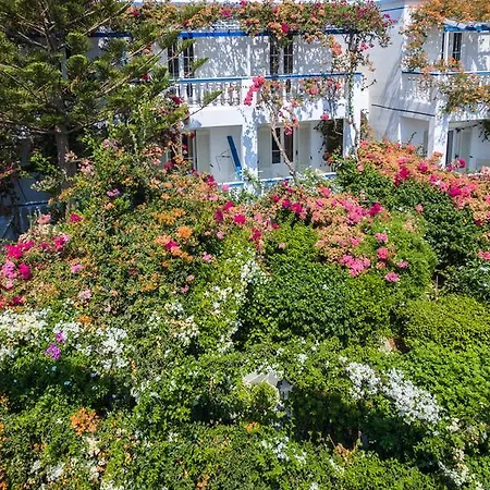 Angelika 2* アリンダ