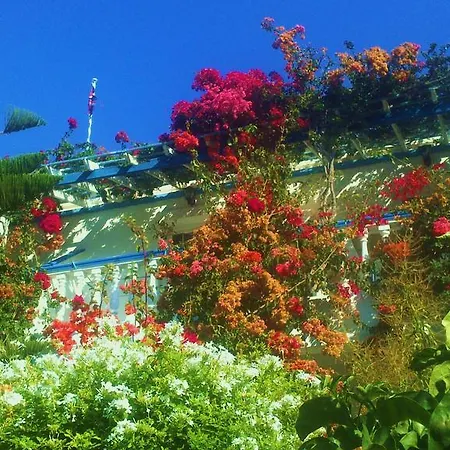 アパートホテル Angelika アリンダ