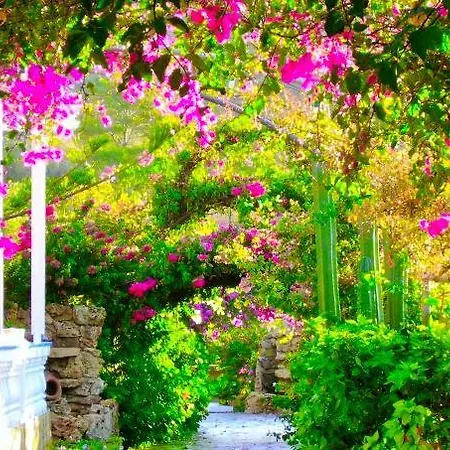 アパートホテル Angelika