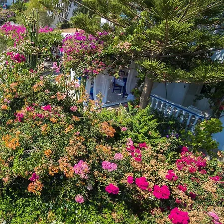 Aparthotel Angelika Alinda (Leros)