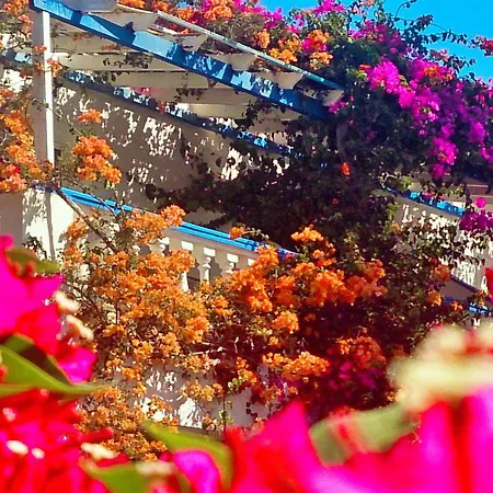Aparthotel Angelika Alinda (Leros)