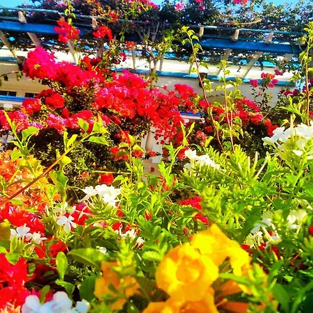 Angelika アパートホテル 2*