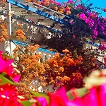 Lejlighedshotel Angelika Alinda (Leros)