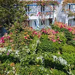 Angelika 2* Alinda (Leros)