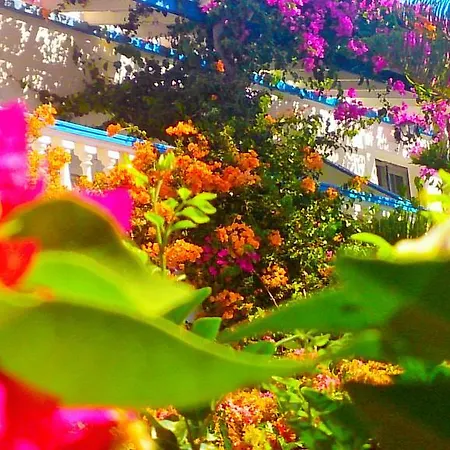 Angelika Апарт-отель Алинда