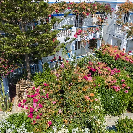 Angelika 2* Алинда