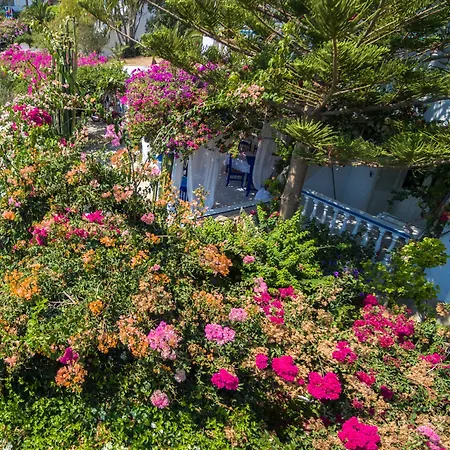 Апарт-отель Angelika