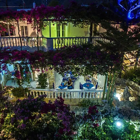 Angelika Алинда