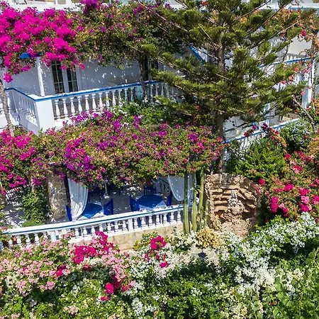 Angelika Алинда