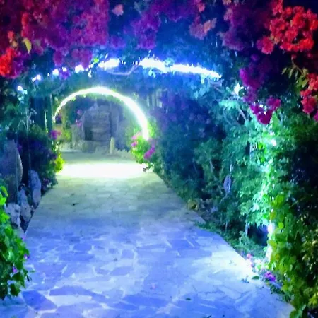 Angelika 2* Алинда