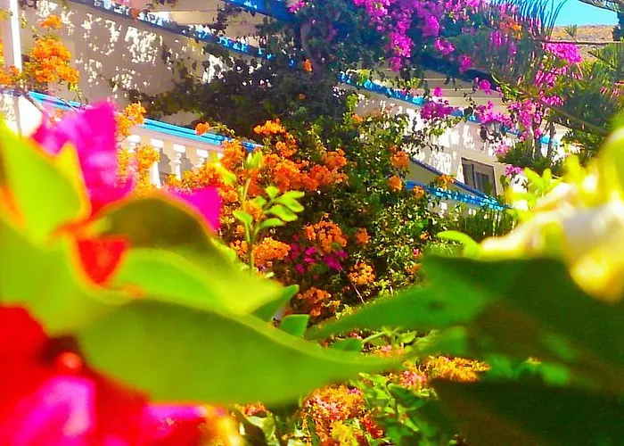 Angelika Aparthotel Alinda (Leros)