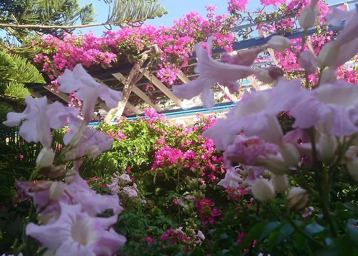 Aparthotel Angelika Alinda (Leros)