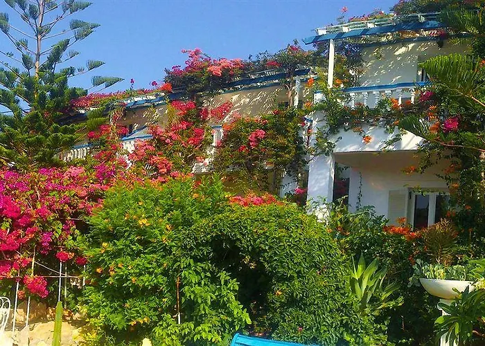 Angelika Alinda (Leros)