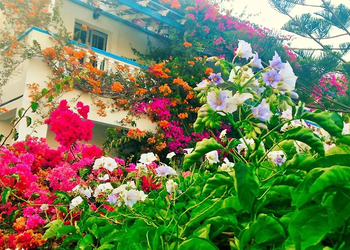 Angelika 2* Alinda (Leros)