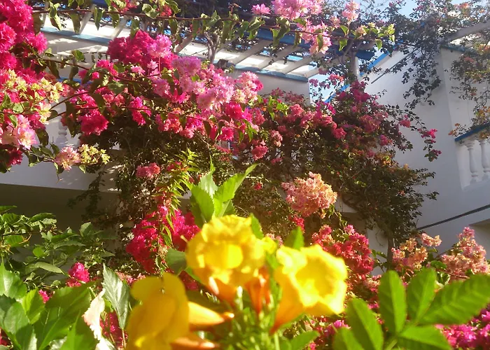 Aparthotel Angelika 2*