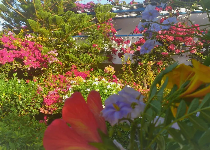 Aparthotel Angelika 2*