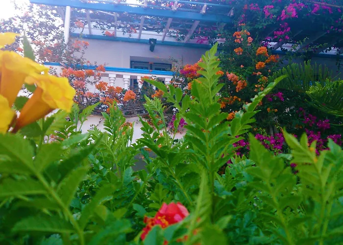 Angelika 2* Alinda (Leros)