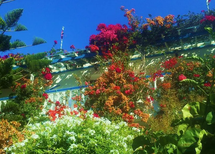 Aparthotel Angelika Alinda (Leros)