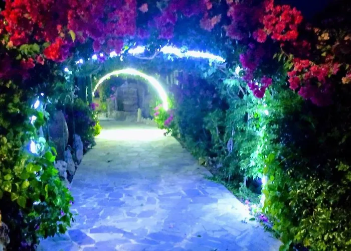 Angelika 2* Alinda (Leros)