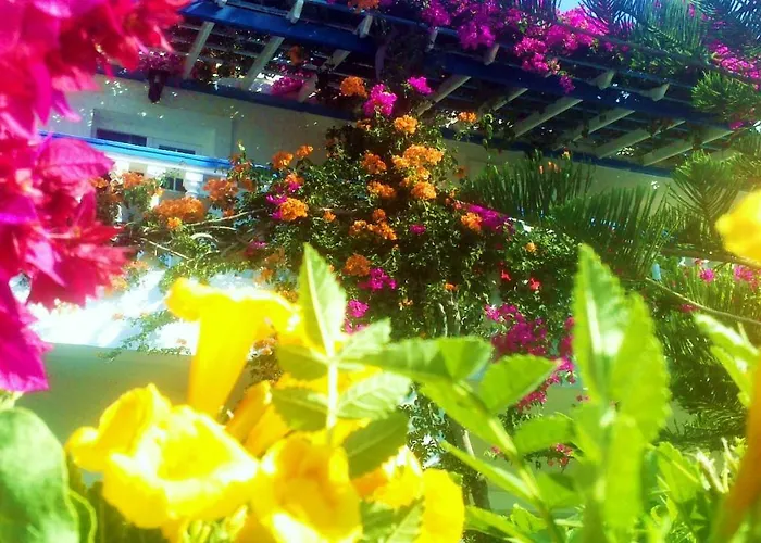 Angelika Alinda (Leros)